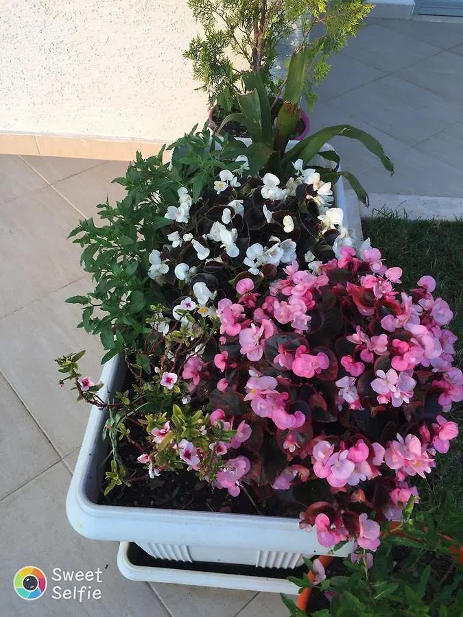 Sunset House Apartment Ksamil